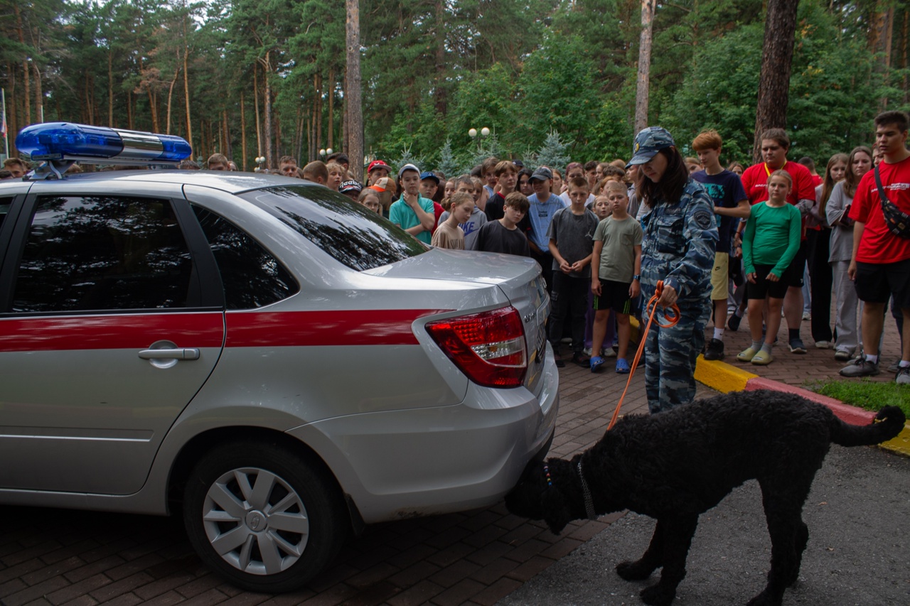 Безопасность без границ: сотрудники правоохранительных органов провели масштабный урок для детей в Заслоновграде