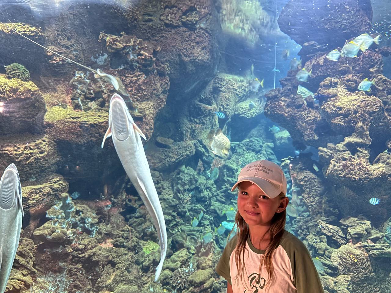 Дельфины пляшут, рыбы в шоке! ДОЛ 