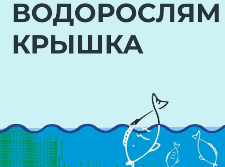 ДОЛ им. Ю. Гагарина получил благодарность за вклад в оздоровление рек!