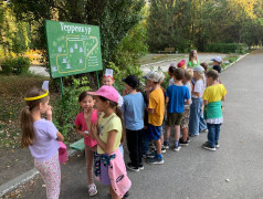 игра "Супер сила Квадронавтов"