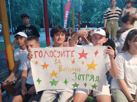 День выборов в ДОЛ 