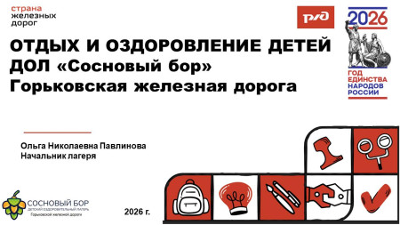 Основное  о летней оздоровительной кампании в лагере 