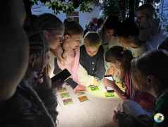 Железнодорожный вызов в Зеленом Огоньке!