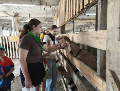 Экскурсия в  Эко-парк &laquo;Кавказский Целитель&raquo; 