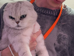 "Рецепт счастья от ДОЛ "Экспресс": Дети, коты и много любви!"