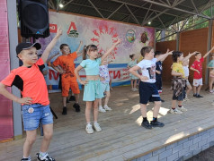 Алло, мы ищем таланты!