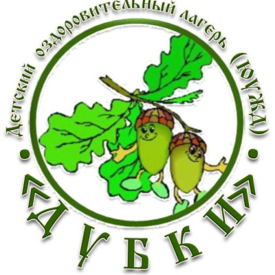 Детский оздоровительный лагерь 