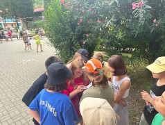 Игра &laquo;Навигация по лагерю&raquo;: дети открывают историю и территорию лагеря