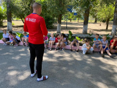 Чемпионат "Движение к здоровью"