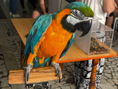 "Мир на ладошке" в фоц Минеральные воды