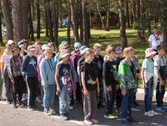 Что нужно и что не нужно брать с собой в лагерь. Памятка!