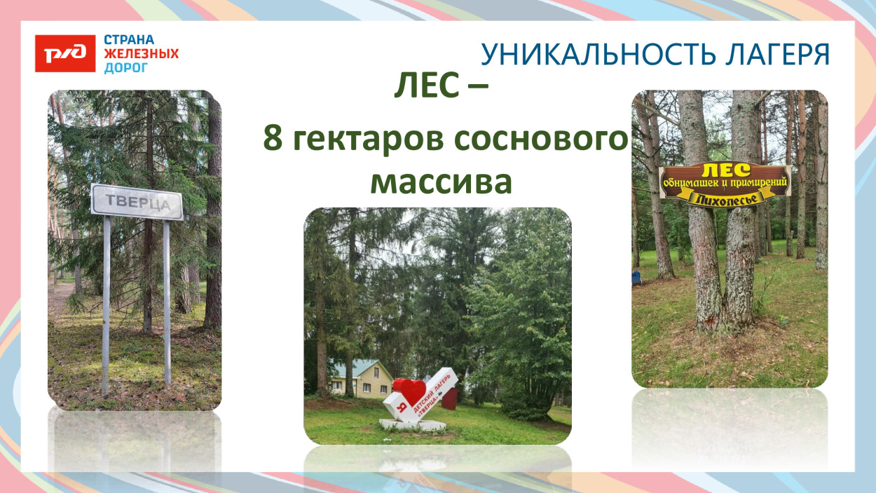 ДОЛ &laquo;Тверца&raquo;