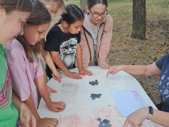 Станционная игра - квест "12 шагов к твоему движению"