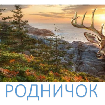 Детский оздоровительный лагерь «Родничок»