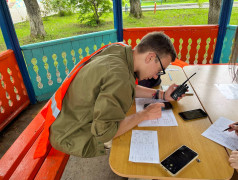 Деловая игра - стратегия &laquo;Дети в РЖД&raquo;