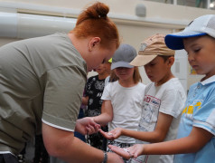 19 ДЕНЬ В ДОЛ &laquo;ВОСТОК&raquo; 2025 (1 СМЕНА)