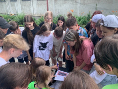 Квест-игра "Иммуноген"