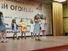 В ДОЛ &laquo;Зелёный Огонёк&raquo; состоялись выборы Президента детского совета!