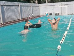 Чемпионат "Движение к здоровью"