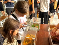 "Мир на ладошке" в фоц Минеральные воды