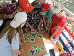 Большая игра увлекла весь лагерь! Железнодорожный вызов в ДОЛ "Бештау"