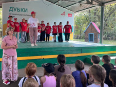 Волонтеры и безопасность