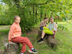 Настоящее волшебство: Открывая мир заново вдали от гаджетов  