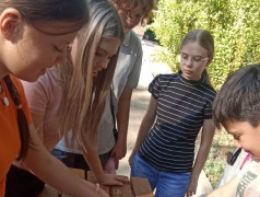 Встречаем День Менделеева с "Миром Опытов"!   