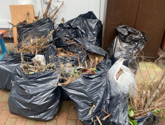 Эко-патруль в ДОЛ "Маяк": маяковцы провели субботник