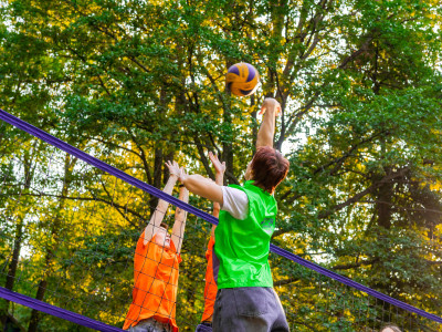 Полезные каникулы!