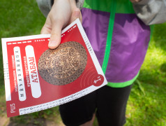 &laquo;Железнодорожный вызов&raquo;: юные герои Заслоновграда прошли сложное испытание