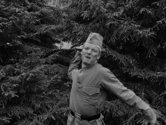 Помни СВОих героев