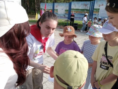 Стартовали на ура!