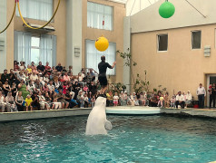 Дельфинарий в ФОЦ МИНЕРАЛЬНЫЕ ВОДЫ