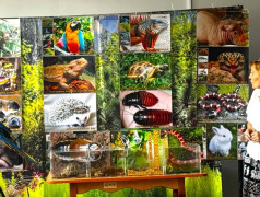 "Мир на ладошке" в фоц Минеральные воды