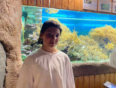 "Экспресс": Где найти Немо? Подсказка: Мы едем