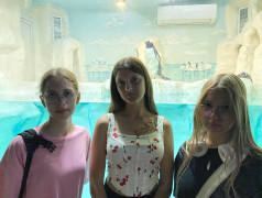 "Экспресс": Где найти Немо? Подсказка: Мы едем