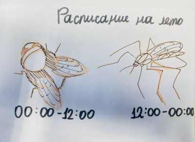 Мемы Страны железных дорог