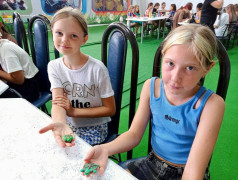 Занятие &laquo;На арене цирка&raquo;