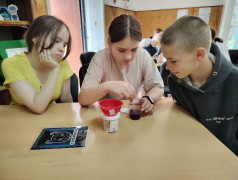 Железное здоровье. Тимус.