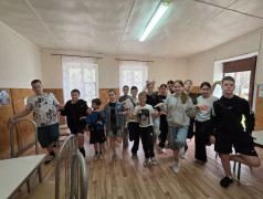 Железное здоровье. Тимус.