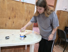 Железное здоровье. Тимус.