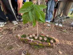 Конкурс поделок из природного материала "Талисман лагеря Яльчик".