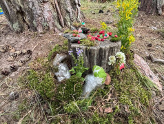 Конкурс поделок из природного материала "Талисман лагеря Яльчик".