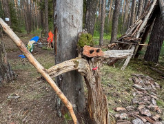 Конкурс поделок из природного материала "Талисман лагеря Яльчик".