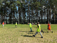 Зеленая пятка