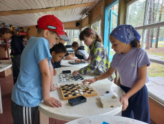 Турниры по шашкам и настольному теннису