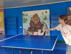 Турниры по шашкам и настольному теннису