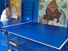 Турниры по шашкам и настольному теннису