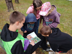 ЖЕЛЕЗНОДОРОЖНАЯ ИГРОТЕКА. Итоговая станционная игра &laquo;СуперСила квадронавтов&raquo;.